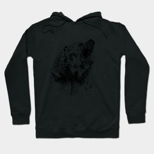 Bär Hoodie